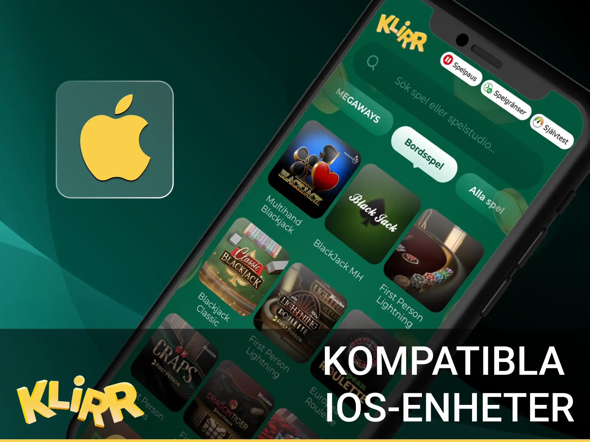 Lista över kompatibla iOS-enheter: iPhone 11–15, SE (2/3), iPad 8–10, Air 4–5, iPad Pro 11/12,9 (2020+). Kräver iOS 13+.