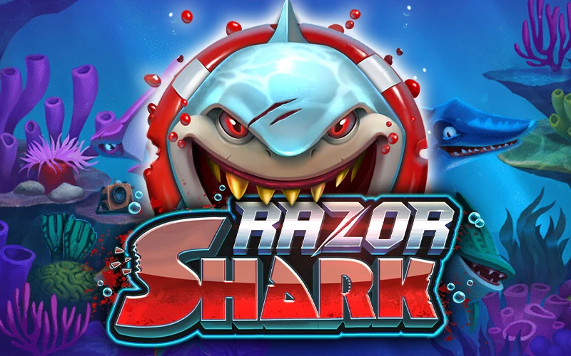 Vinn nu – spela Razor Shark.